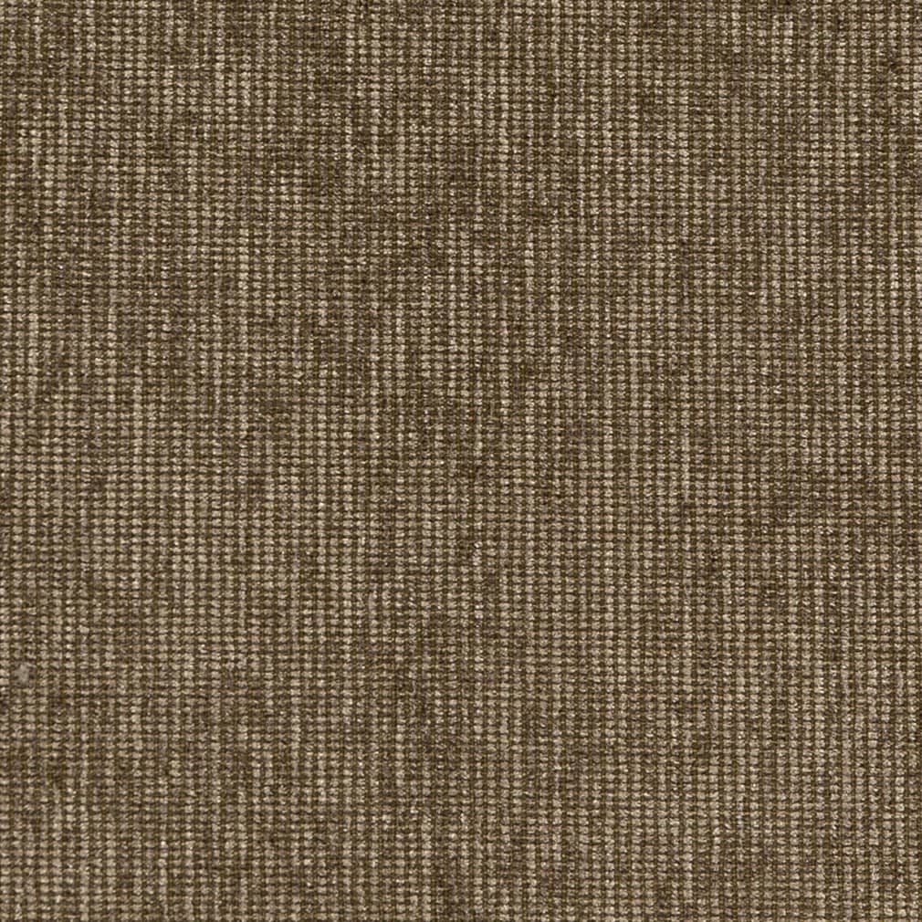 Y707 Lentil