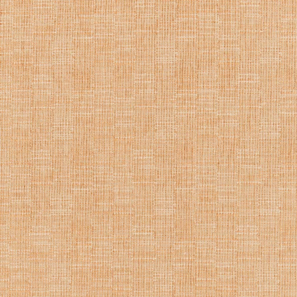 Y634 Camel