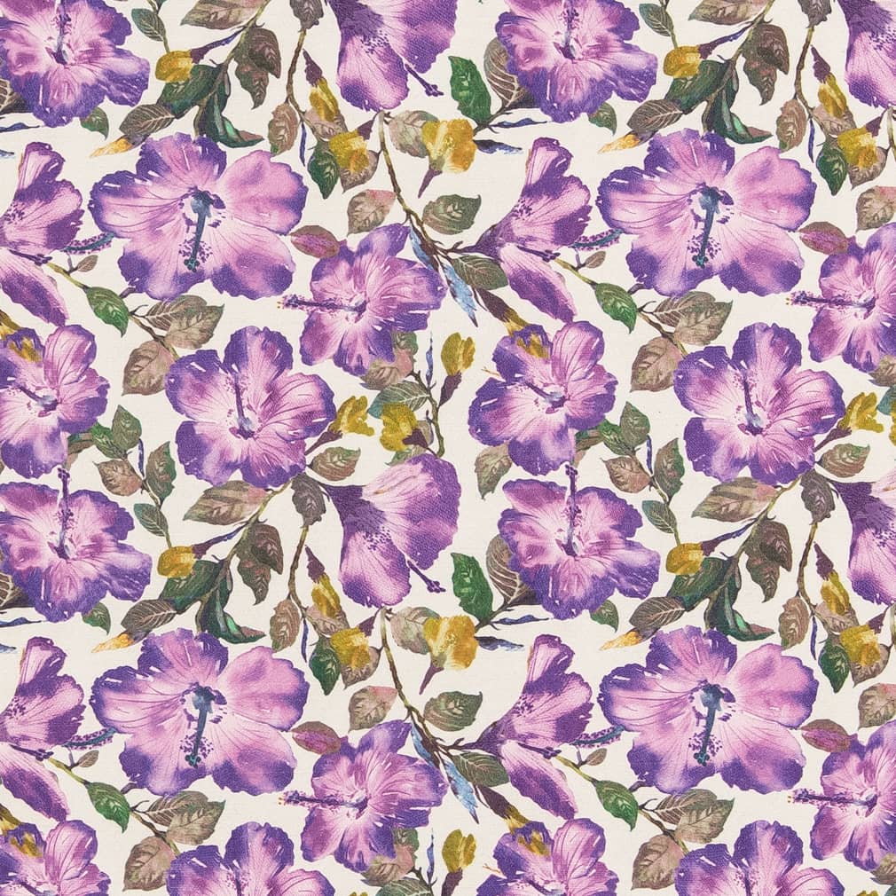 Y425 Violet