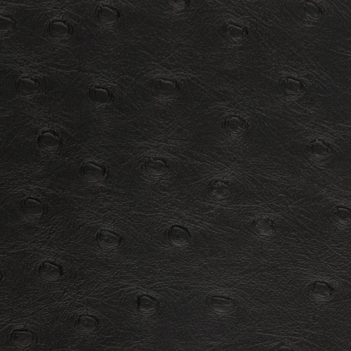 Black Ostrich VLD-46