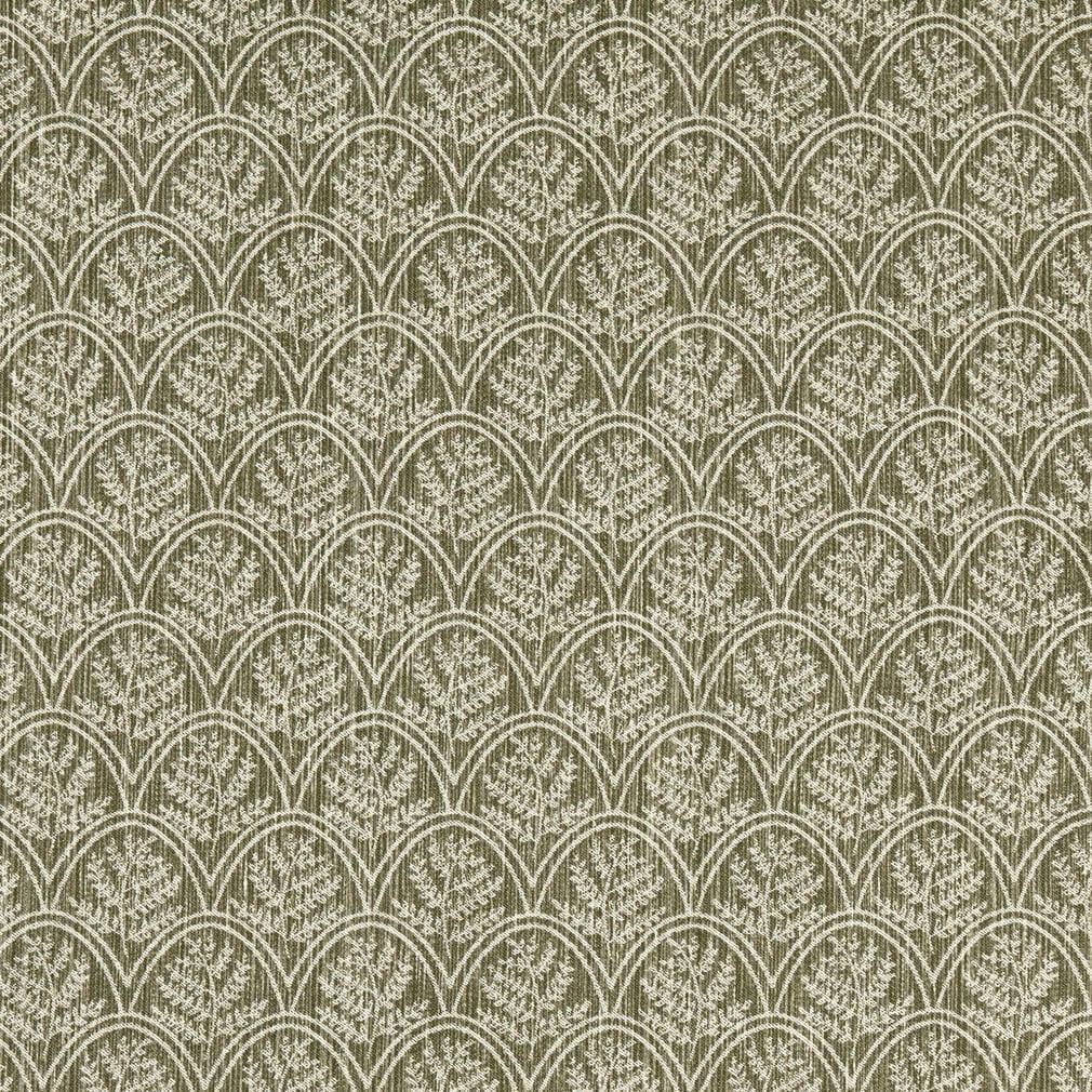 HE1072 Trellis Fern