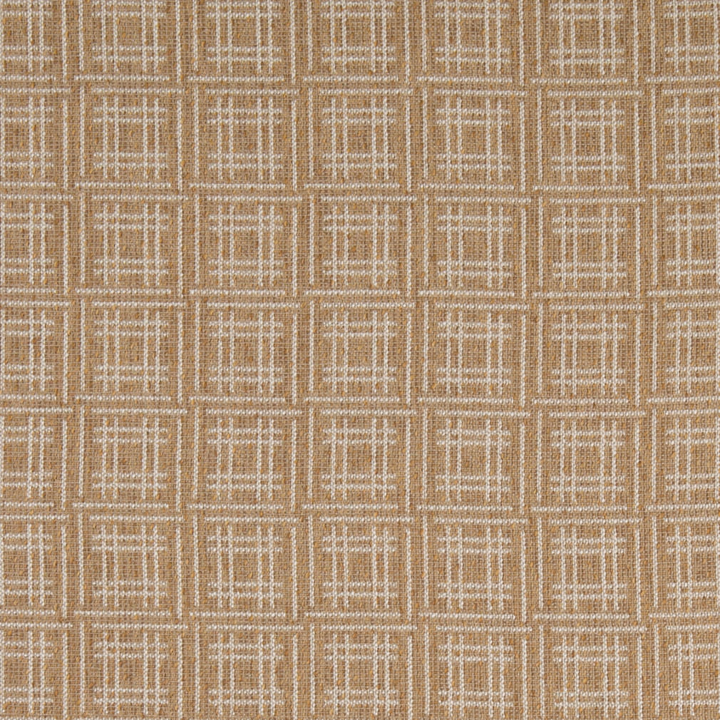 HC1504 Barley