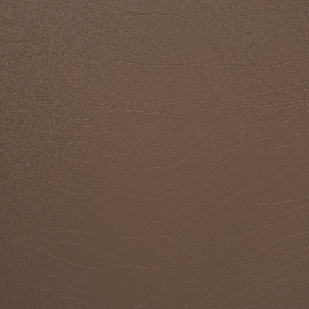 V1012 Hazelnut