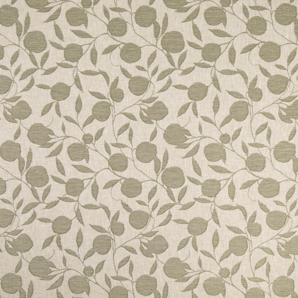 D4789 Orchard Fern