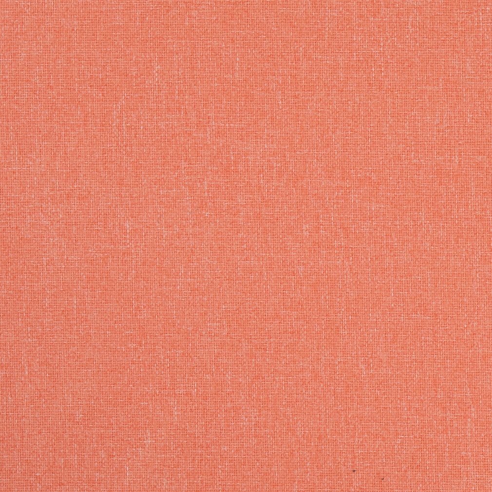 D4825 Cantaloupe