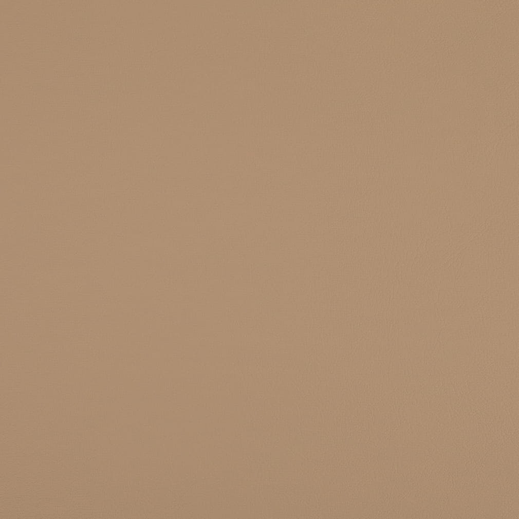 V1067 Latte