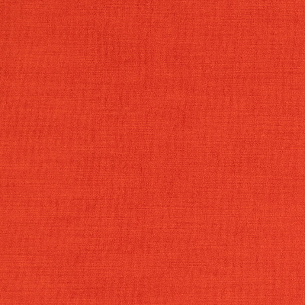 Y2381 Tomato