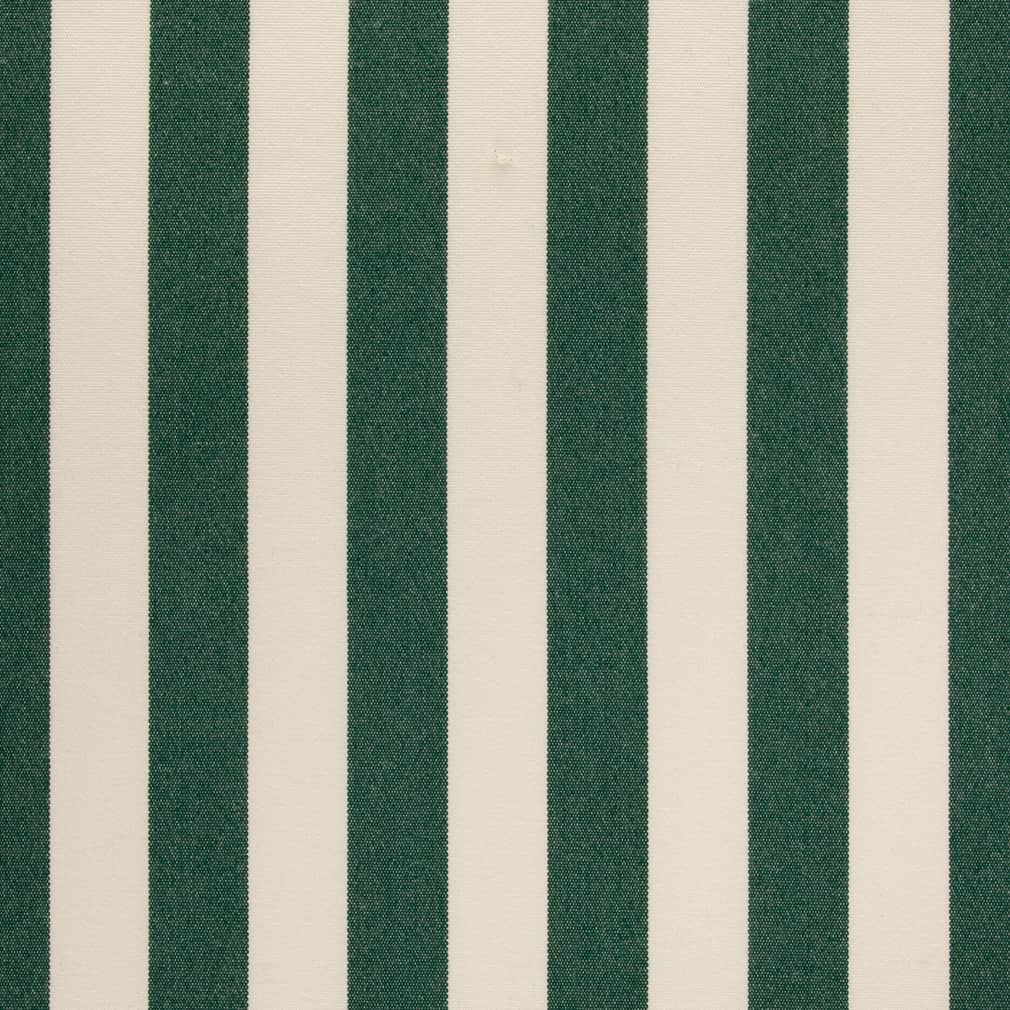 Y2487 Juniper Stripe