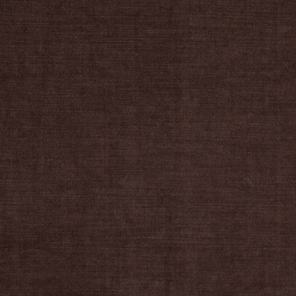 Y2459 Chocolate