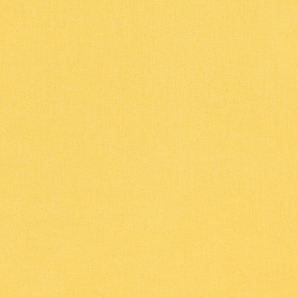PD3409 Maize