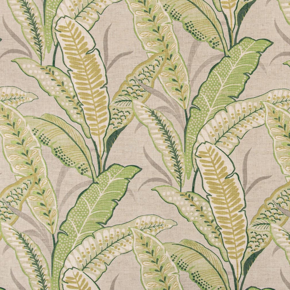 PD3306 Leaf