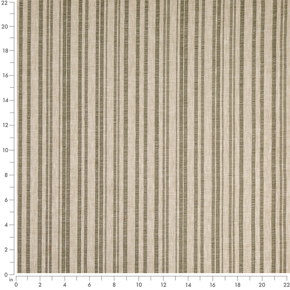 D4807 Hearth Fern · miniatura 2