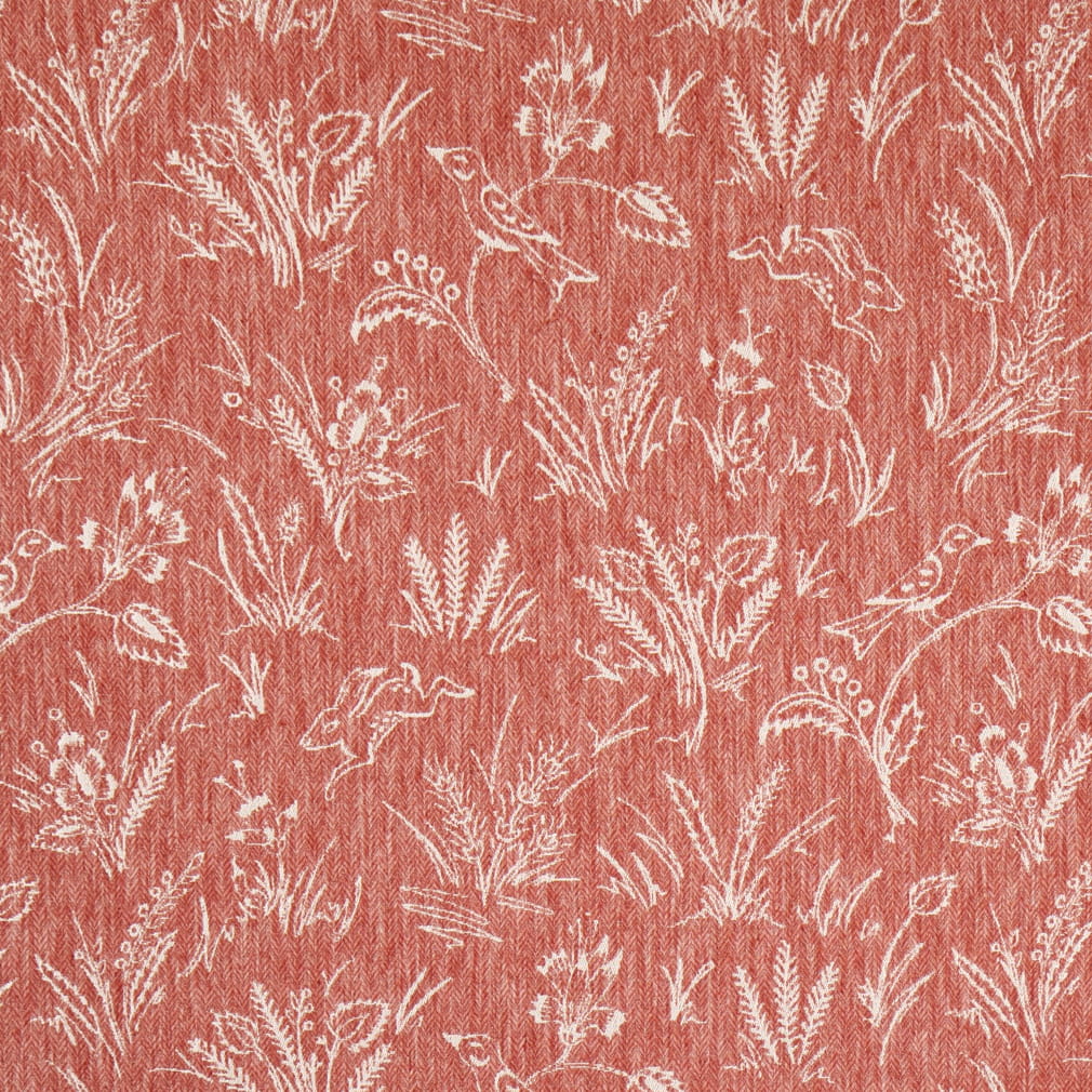 HC1472 Watermelon