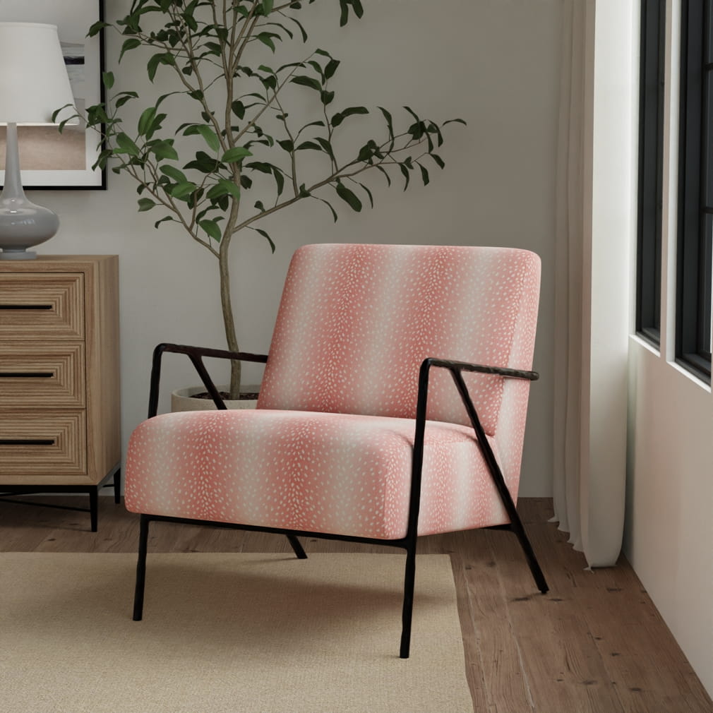 HD1203 Primrose · miniatura 5