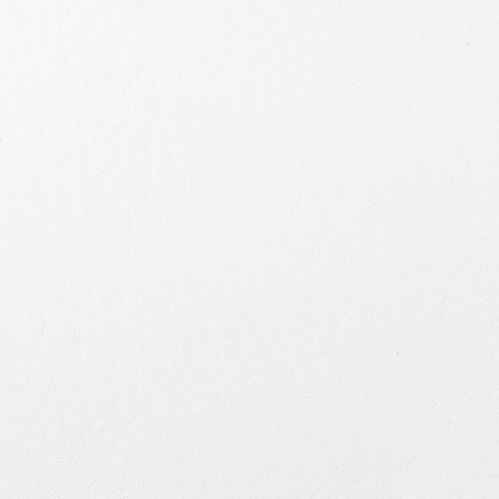T1118 White