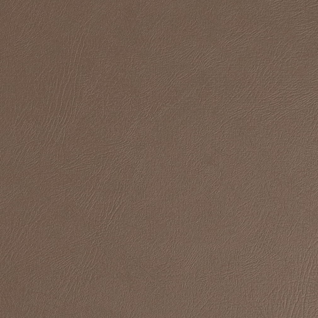 T1091 Hazelnut