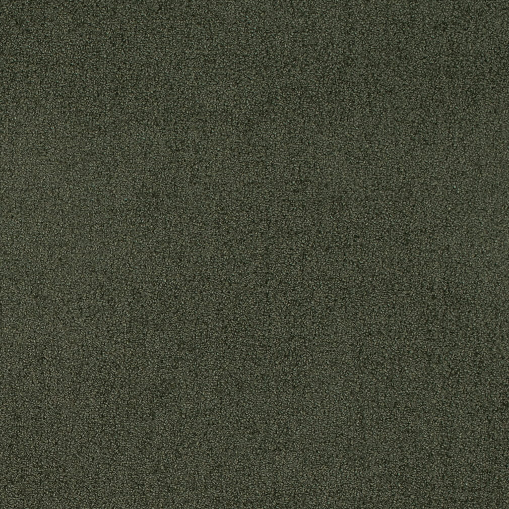D4665 Eucalyptus