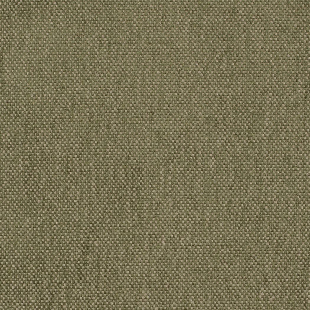 HH1041 Elm Green