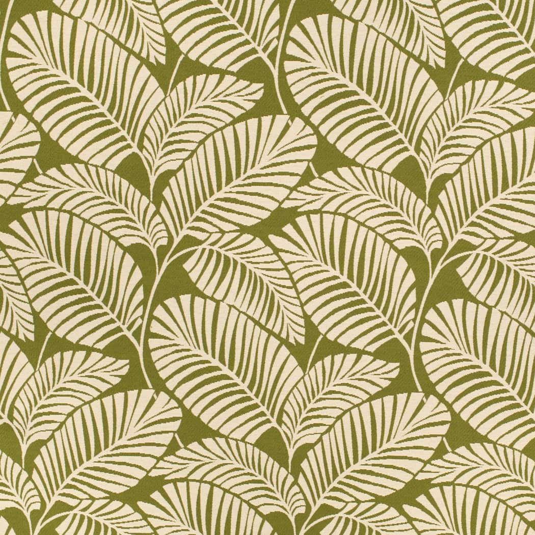 HG1060 Leaf