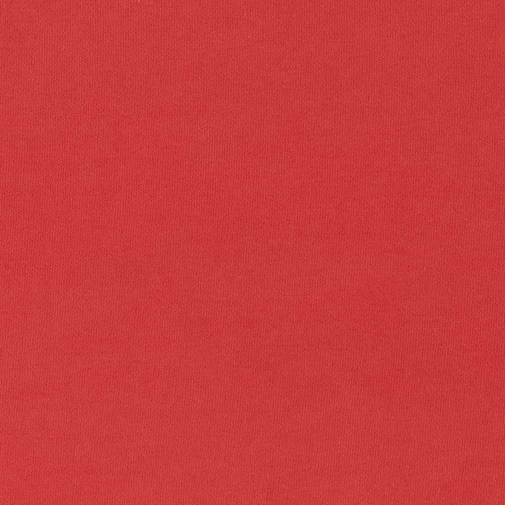 HH80175 Tomato