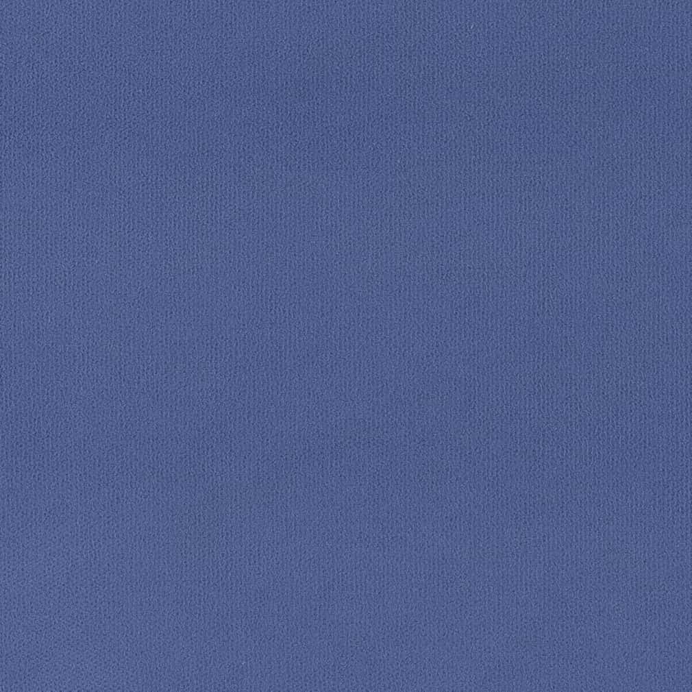 HH80161 Blueberry