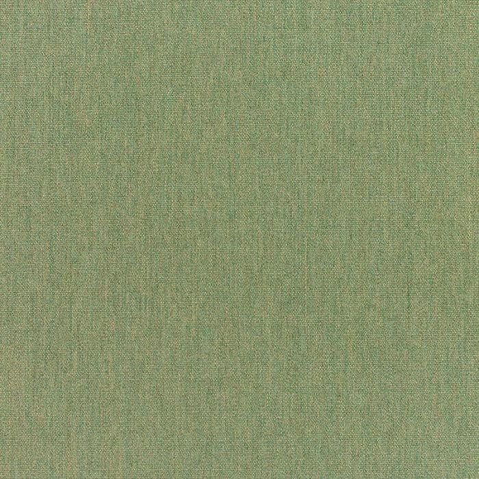 54" Sunbrella Canvas Fern