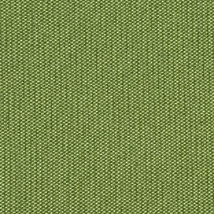 Sunbrella Spectrum Cilantro