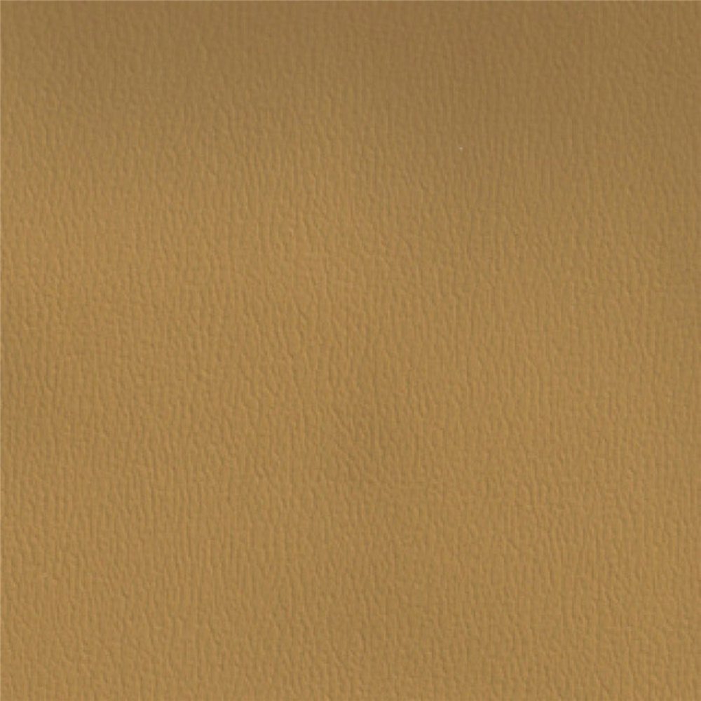 Olympus Cork