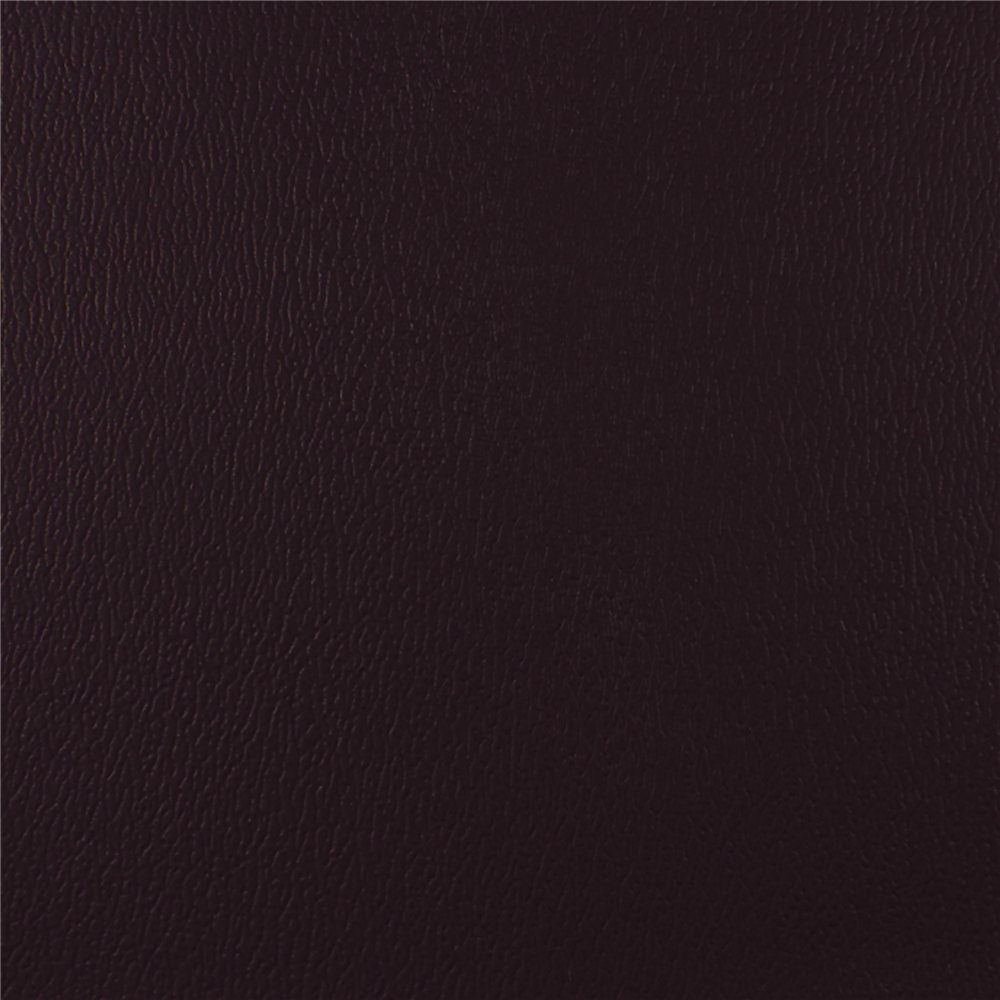 Olympus Aubergine