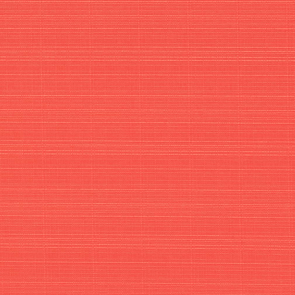 HH80195 Watermelon