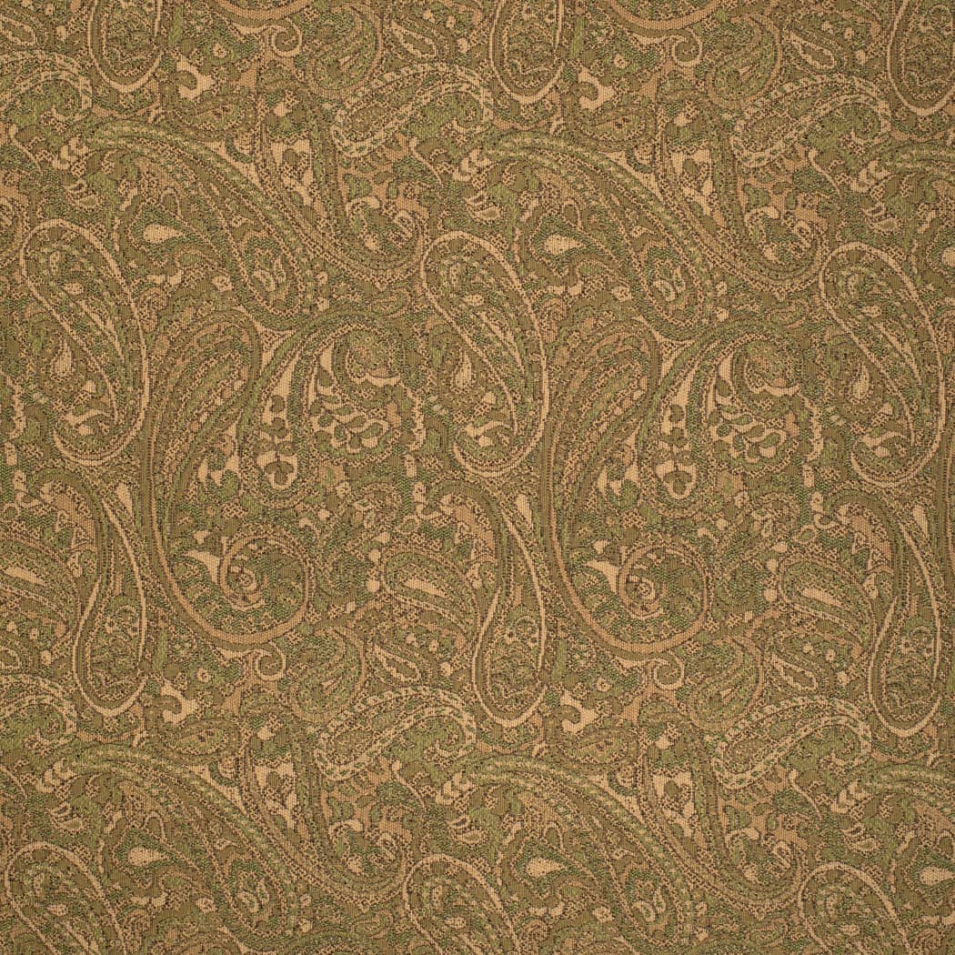 HG1044 Thyme