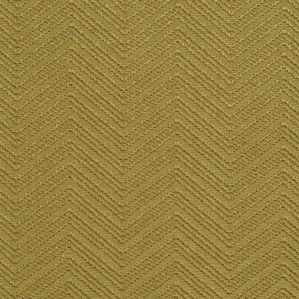 HB80205 Olive
