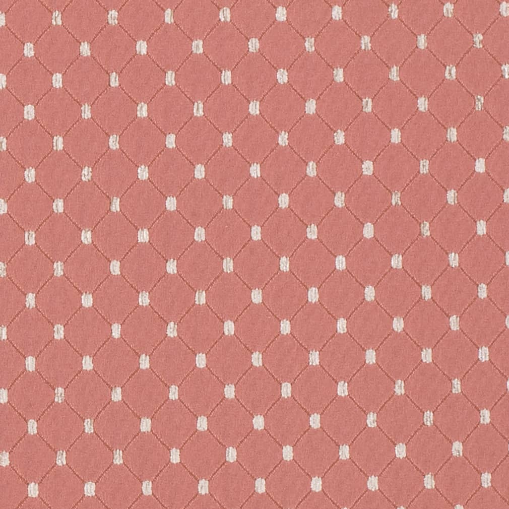 HA80262 Rose