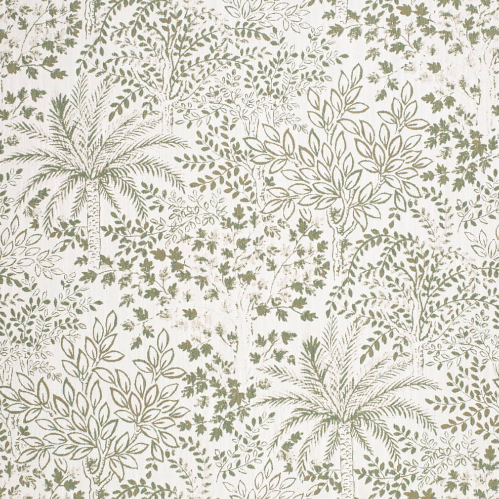 HG80115 Palm