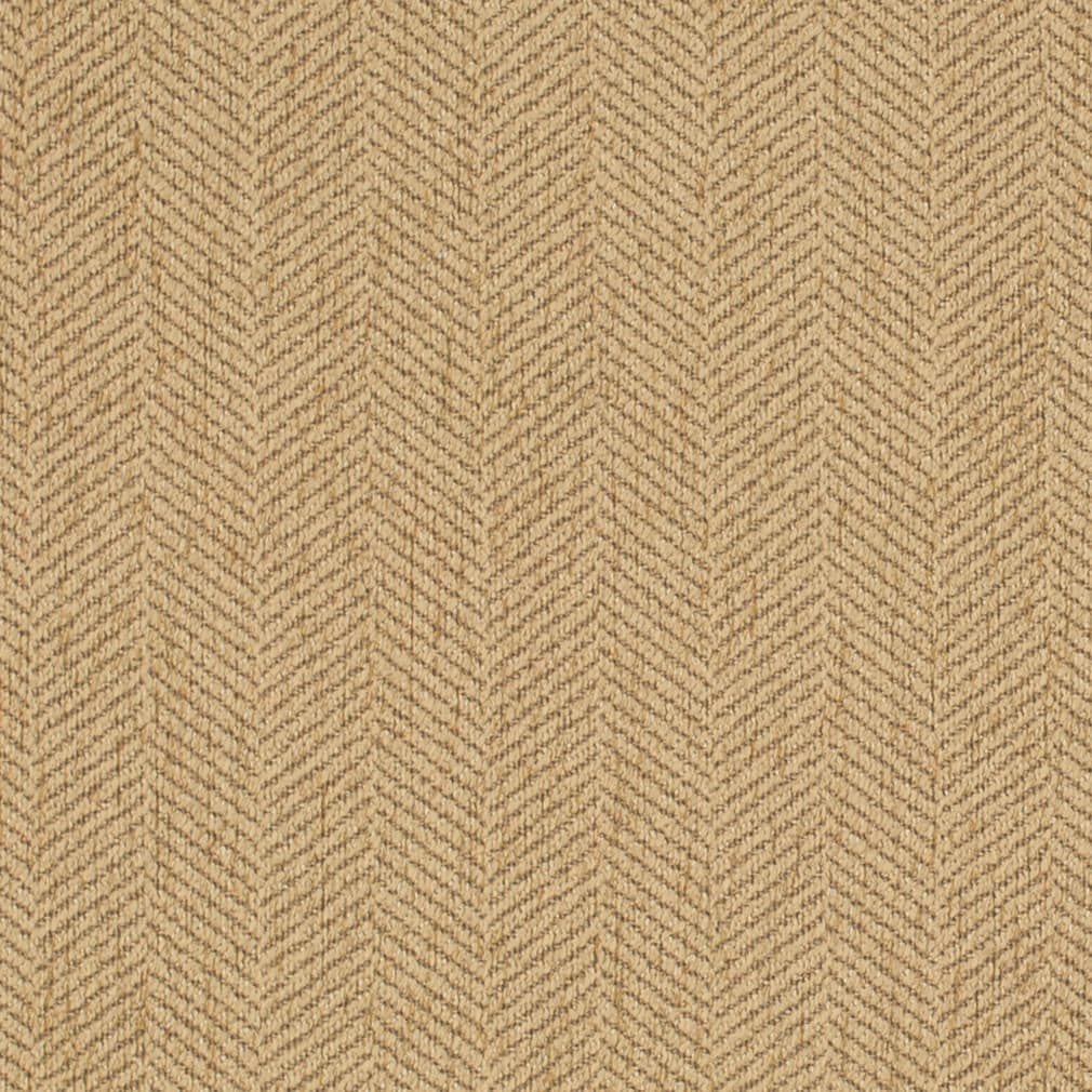 HC80263 Wheat