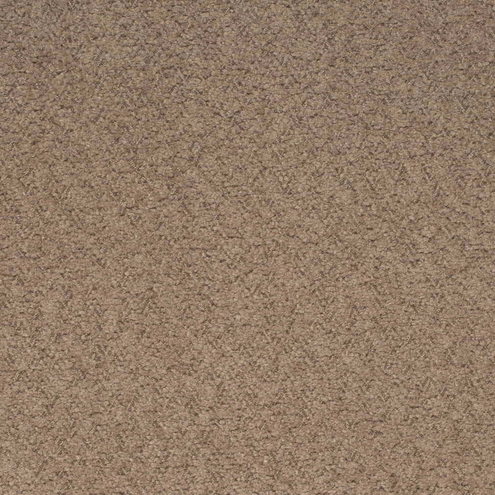 HF80269 Hazelnut