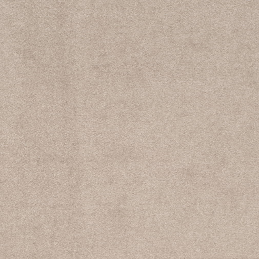 HF80260 Dove