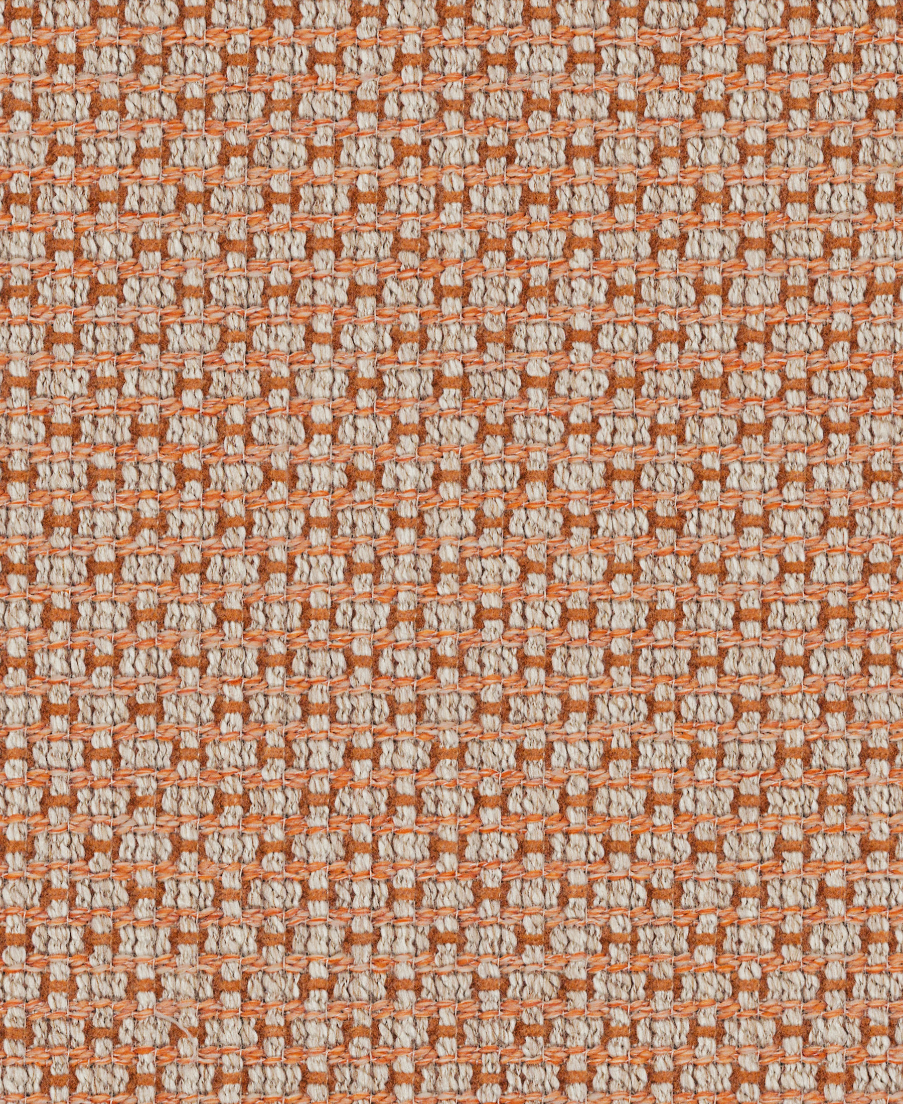 Botany Apricot