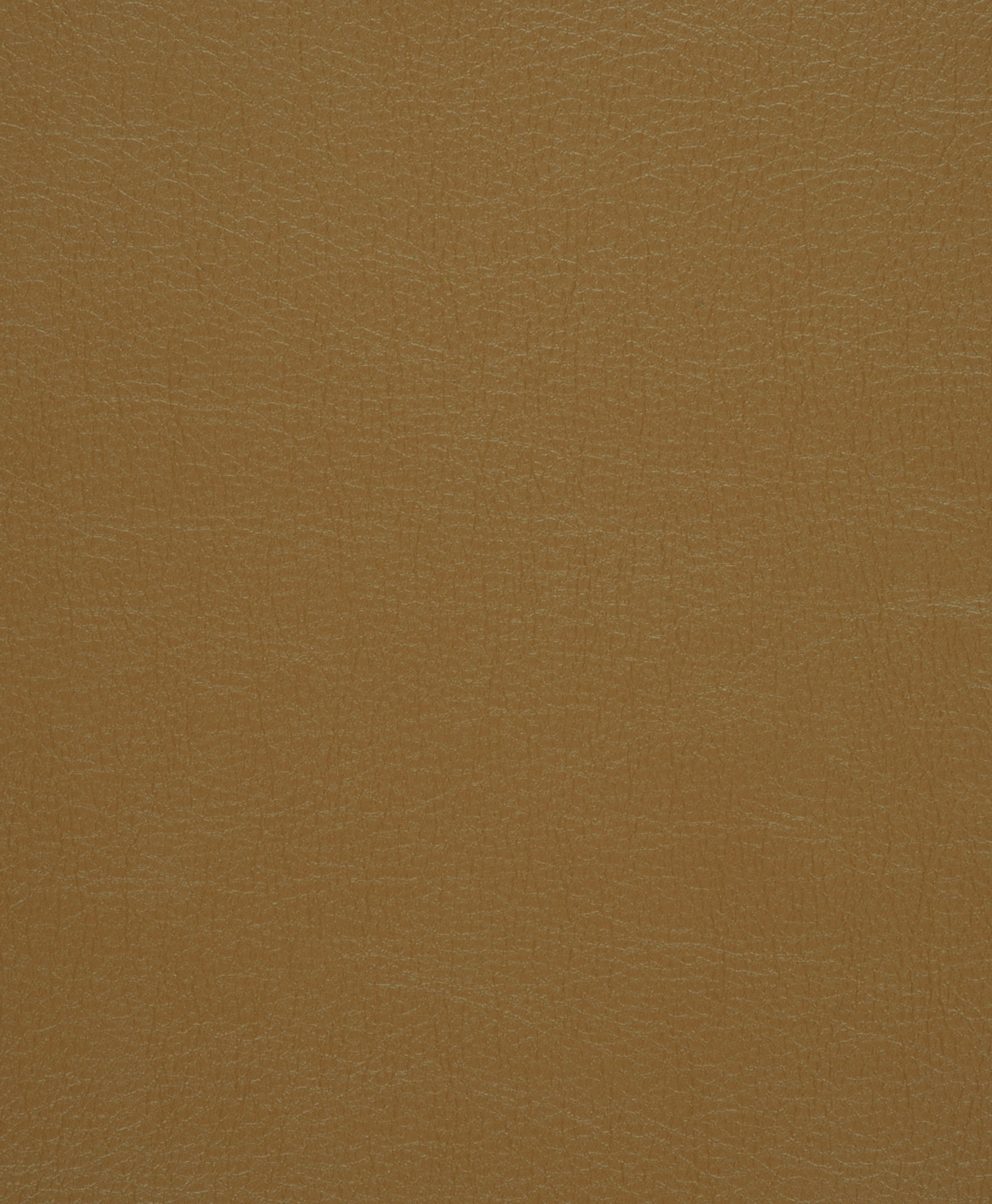 Caressa Caramel
