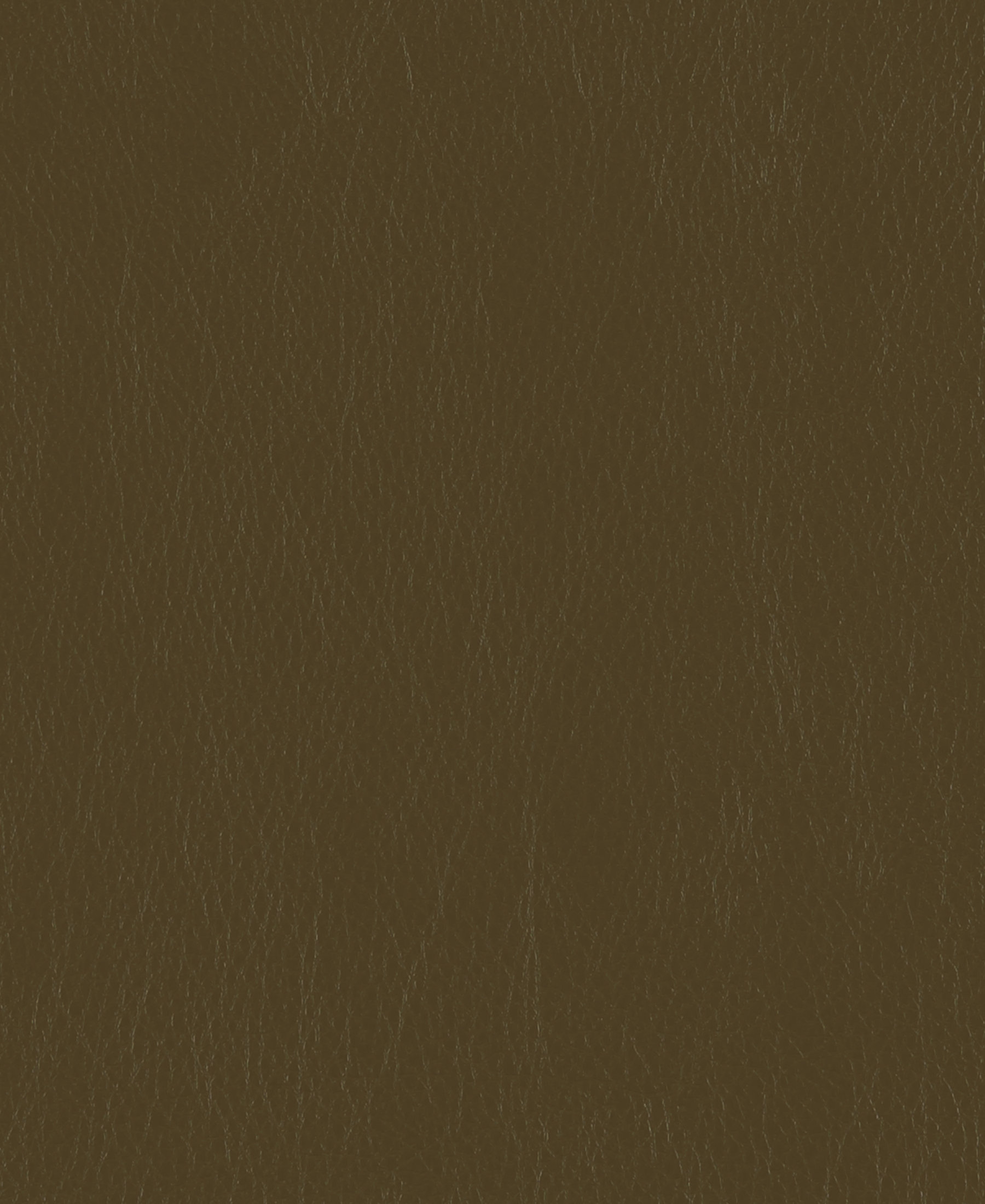 Caressa Mocha