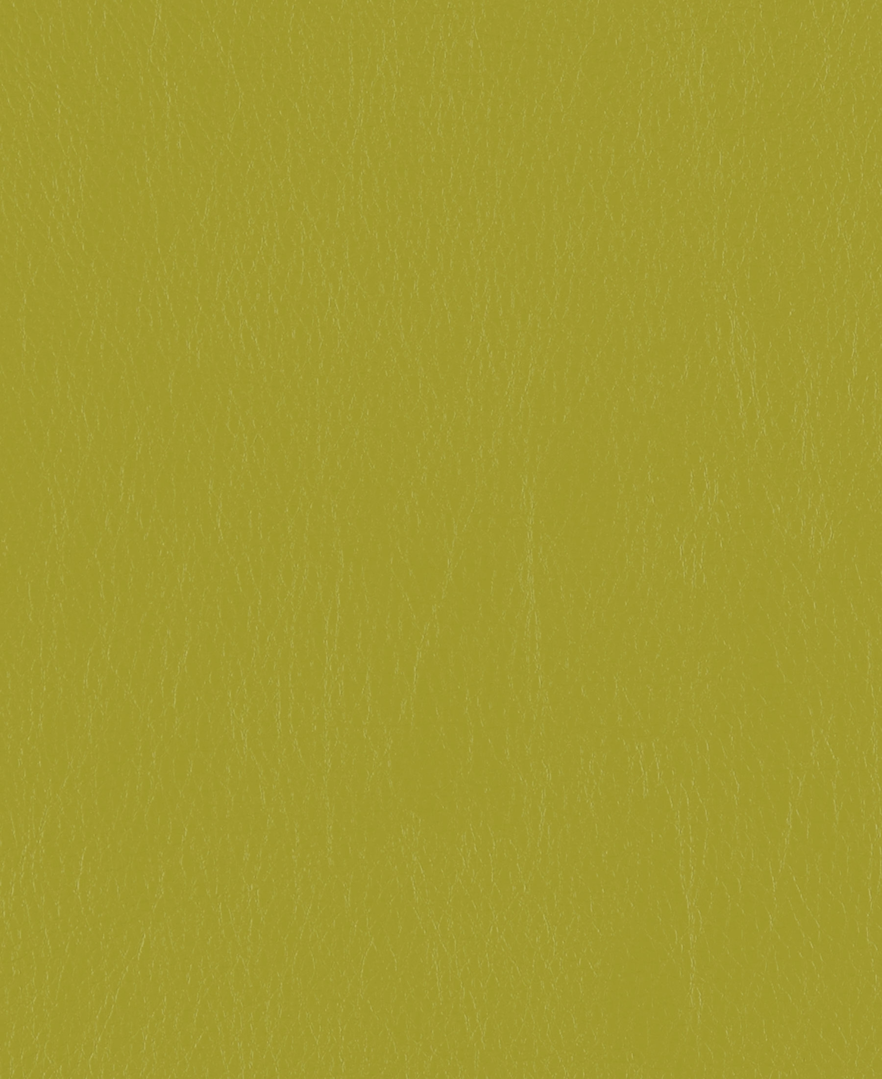 Caressa Lime