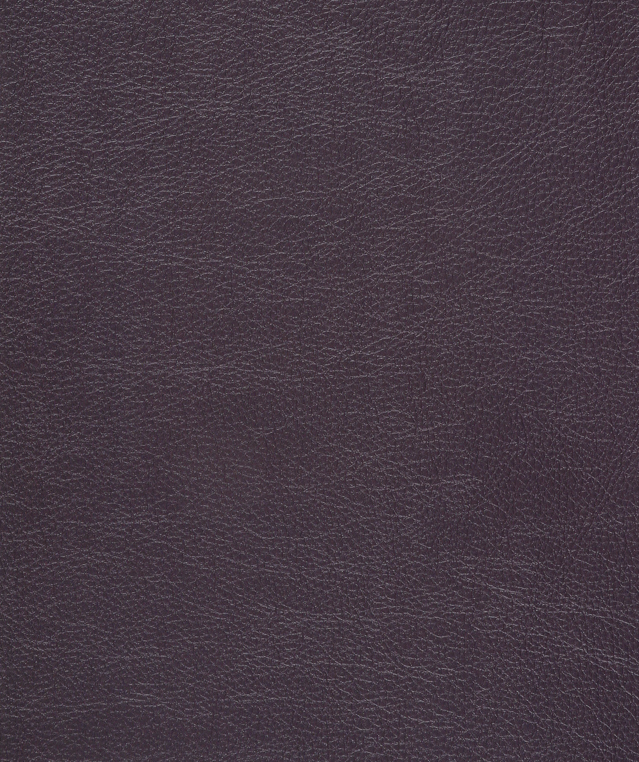 Caressa Aubergine