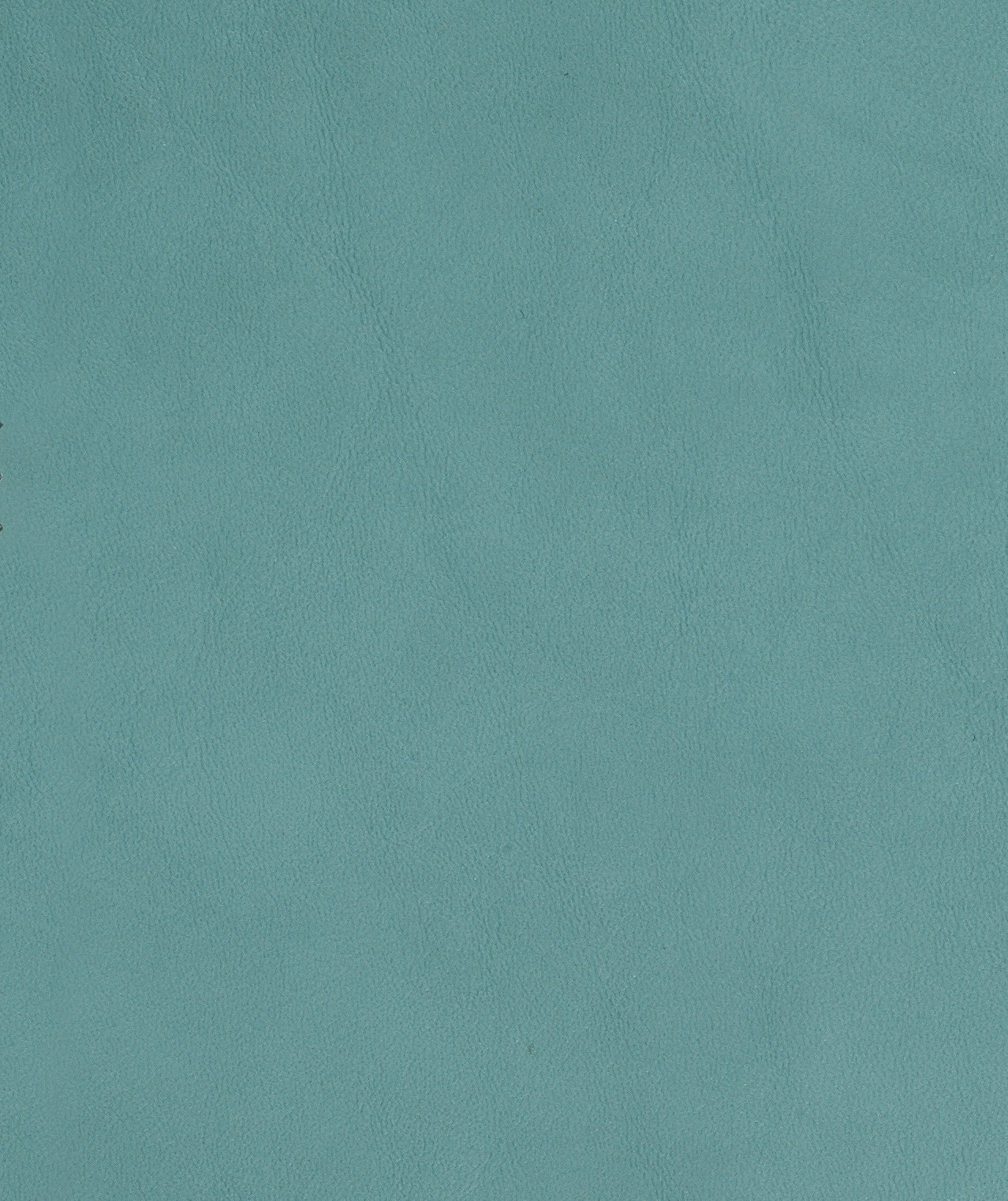 Chaps Seafoam