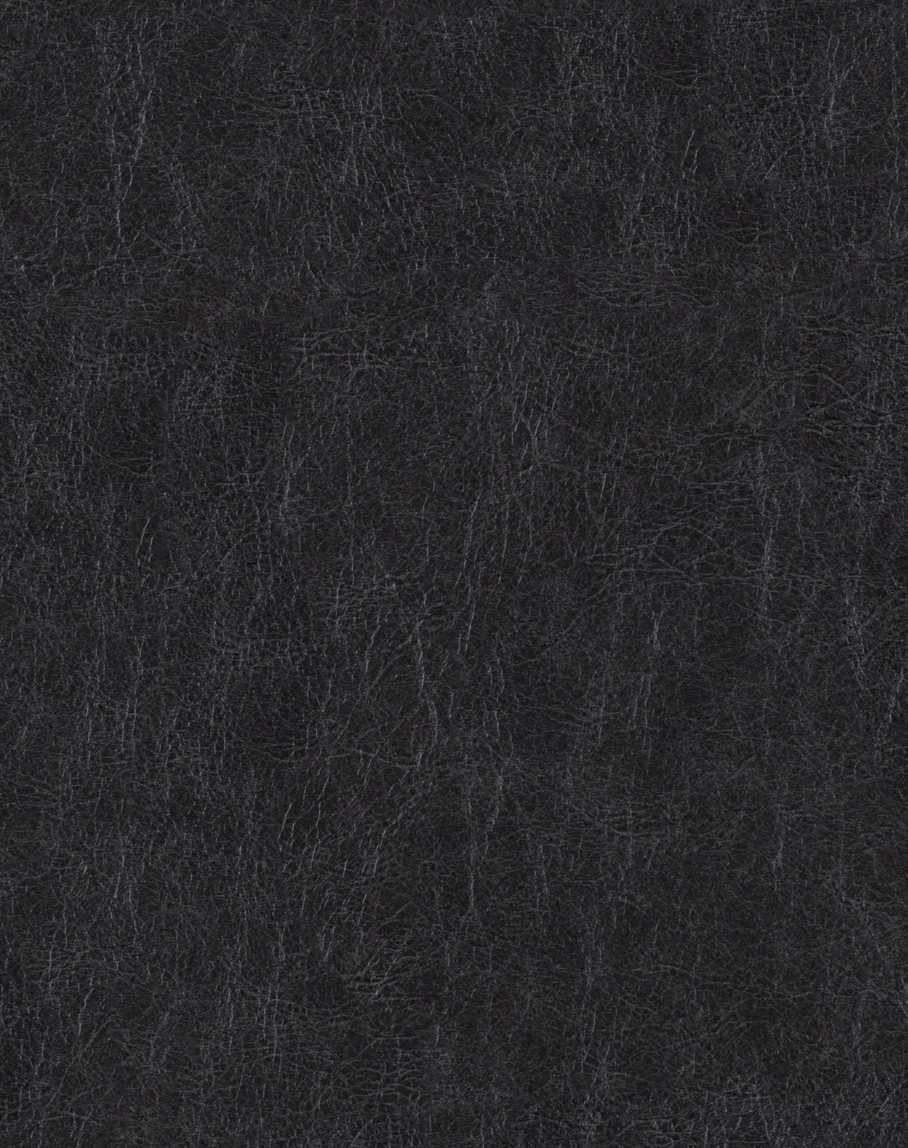 Cosmos Black