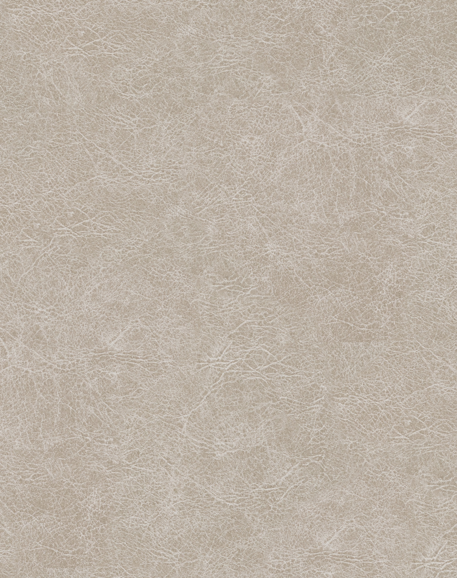 Cosmos Limestone