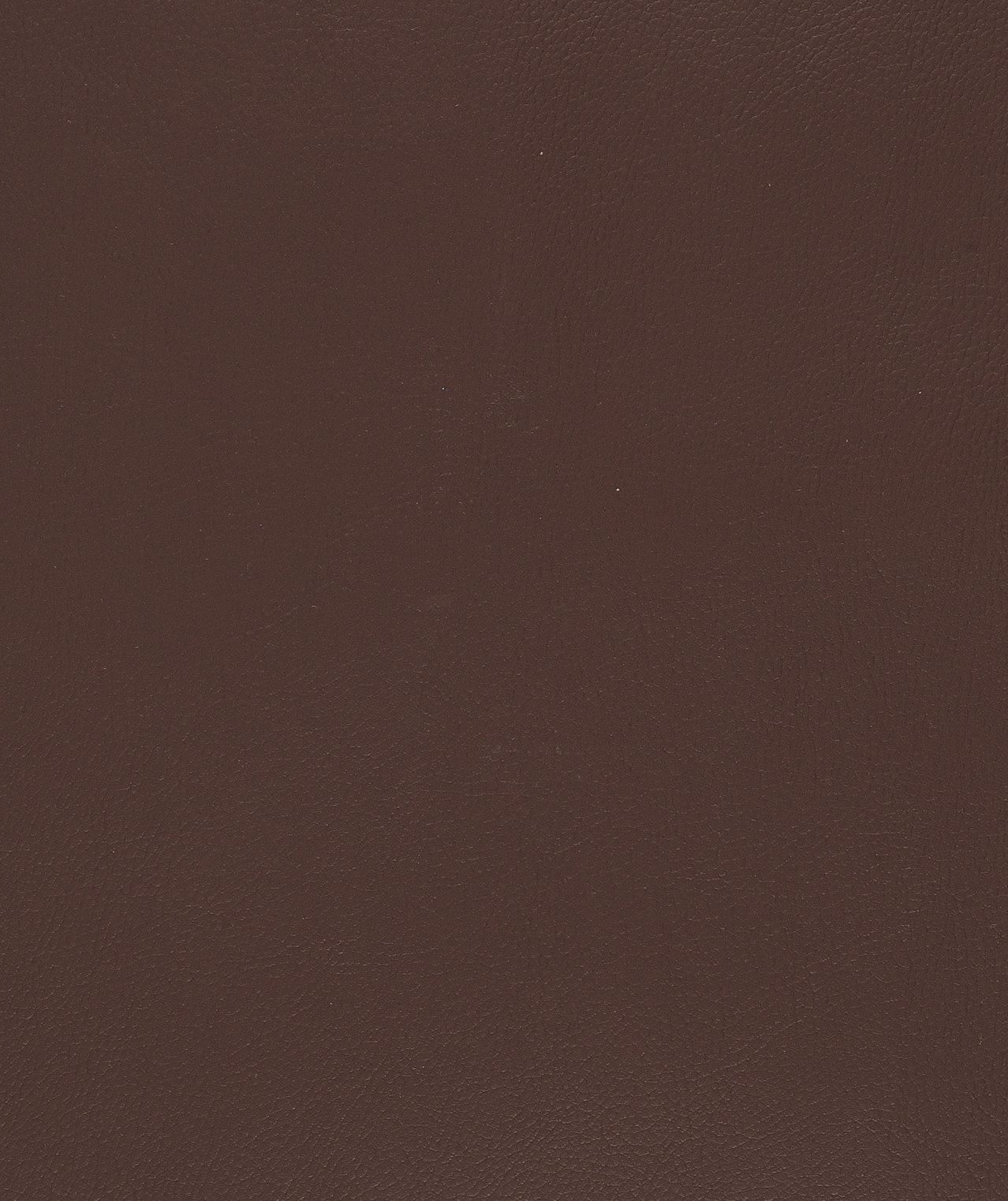 Durango Cocoa