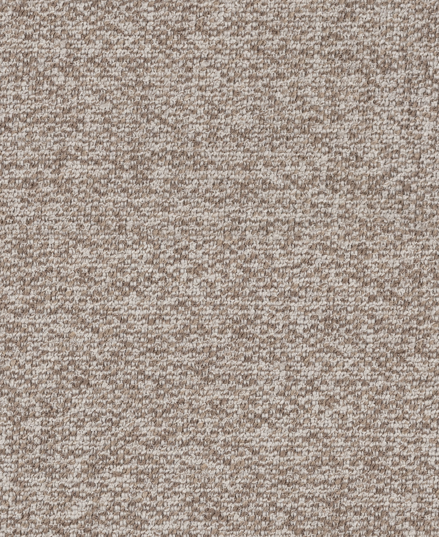 Editor Pumice