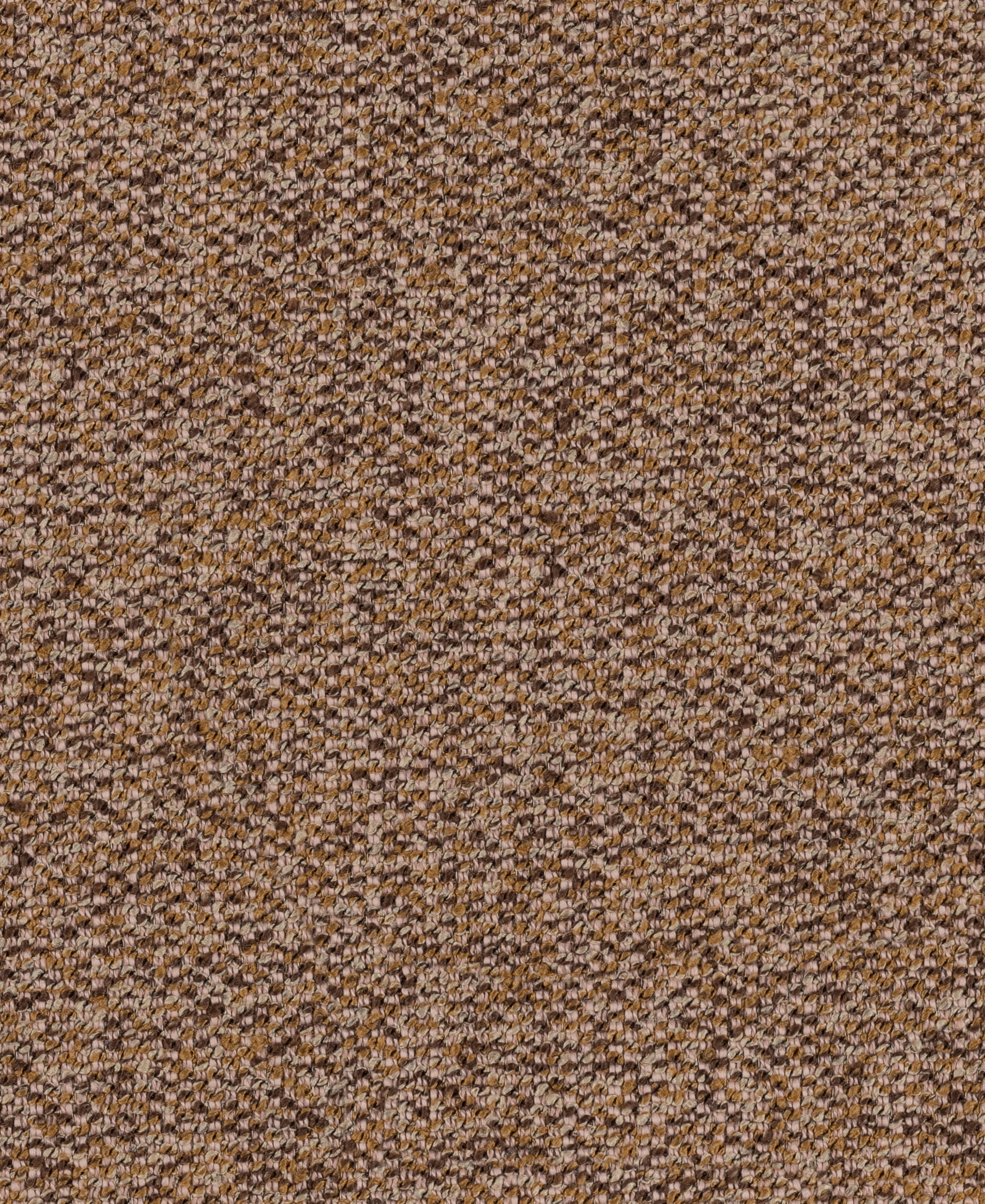 Editor Sandstone
