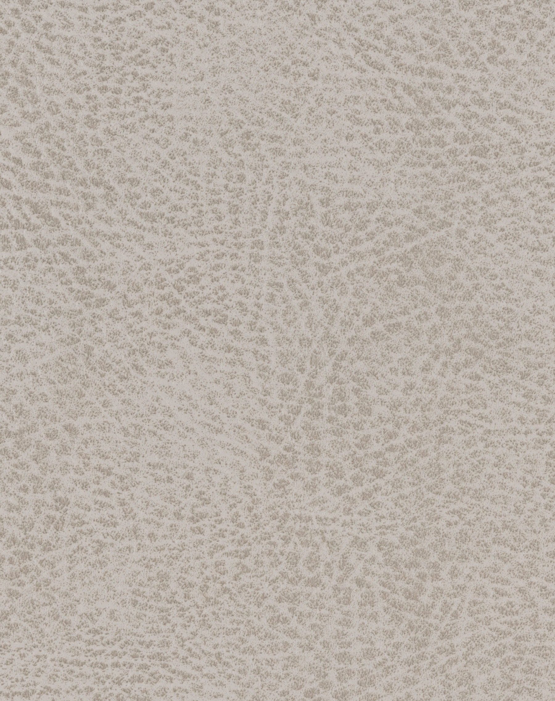 Explorer Bone