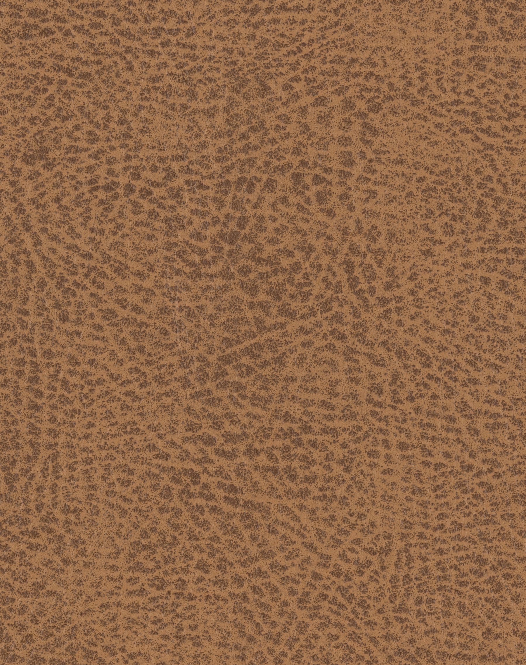 Explorer Caramel